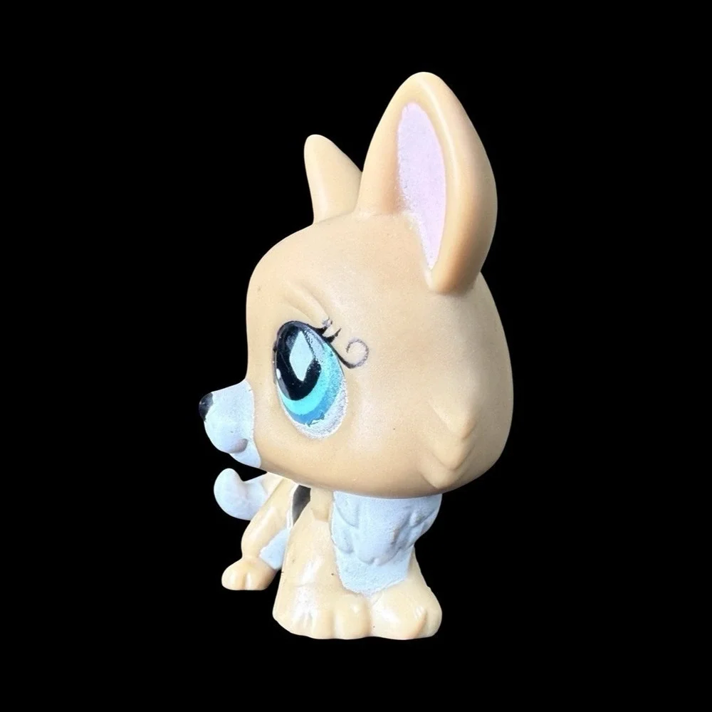 Littlest Pet Shop #724 Tan Black White Corgi Teal Diamond Eyes LPS